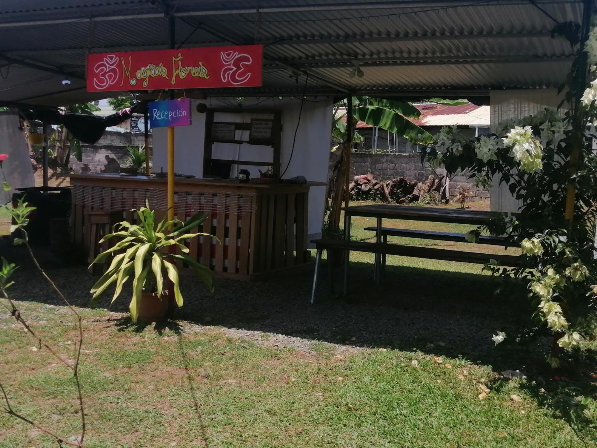 Rooms Palmeras Cahuita Extérieur photo