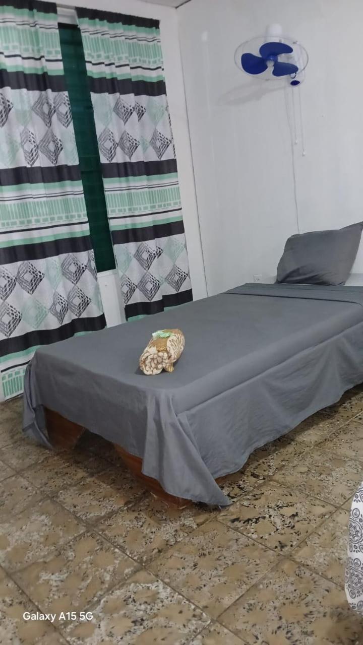 Rooms Palmeras Cahuita Extérieur photo